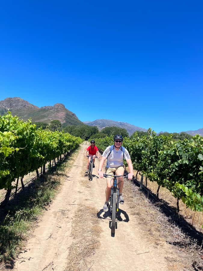 From Cape Town: Franschhoek Vineyards Bike Tour with Lunch - French Huguenots, 1688, and the vineyard names you will recognize