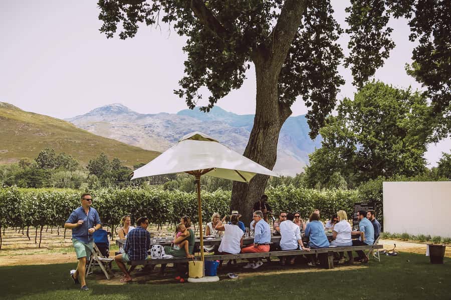From Cape Town: Franschhoek Wine Tram Hop-on Hop-off - Food, Tastings, and the Real Budget Behind the $50 Price