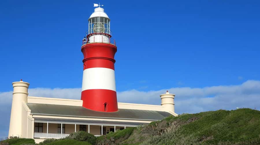 From Cape Town: Full-Day Cape Agulhas Private Tour - Price and value: does $196 per person make sense?