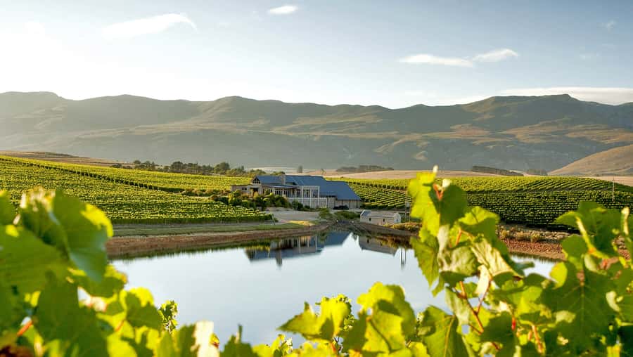 From Cape Town: Full-Day Cape Agulhas Private Tour - Timing and pacing: what a 10-hour private day feels like