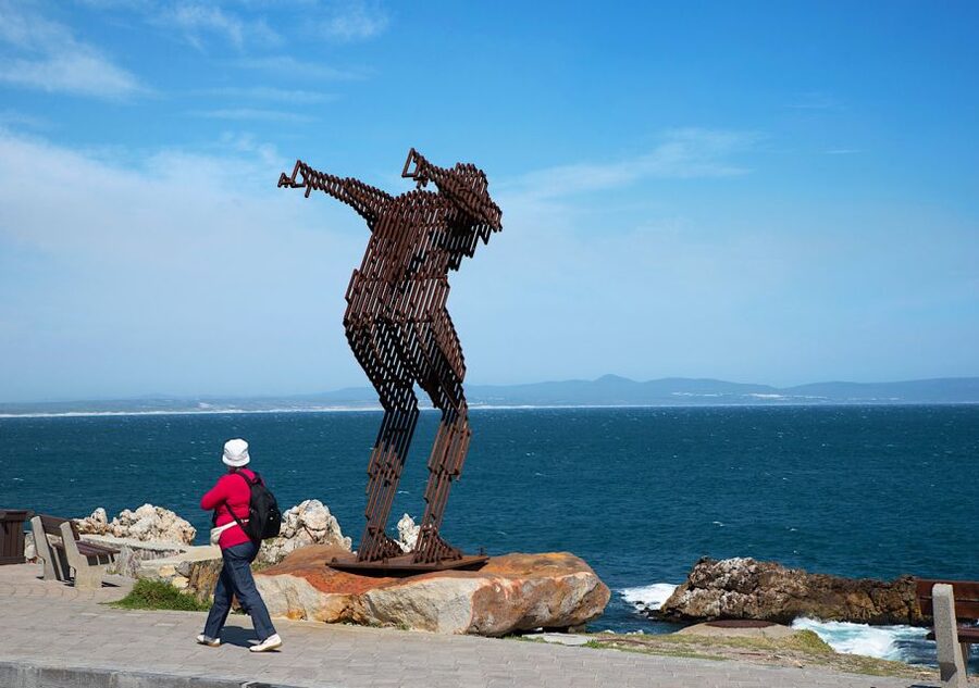 From Cape Town: Full-Day Cape Agulhas Private Tour - What to bring so the day stays fun (not fussy)