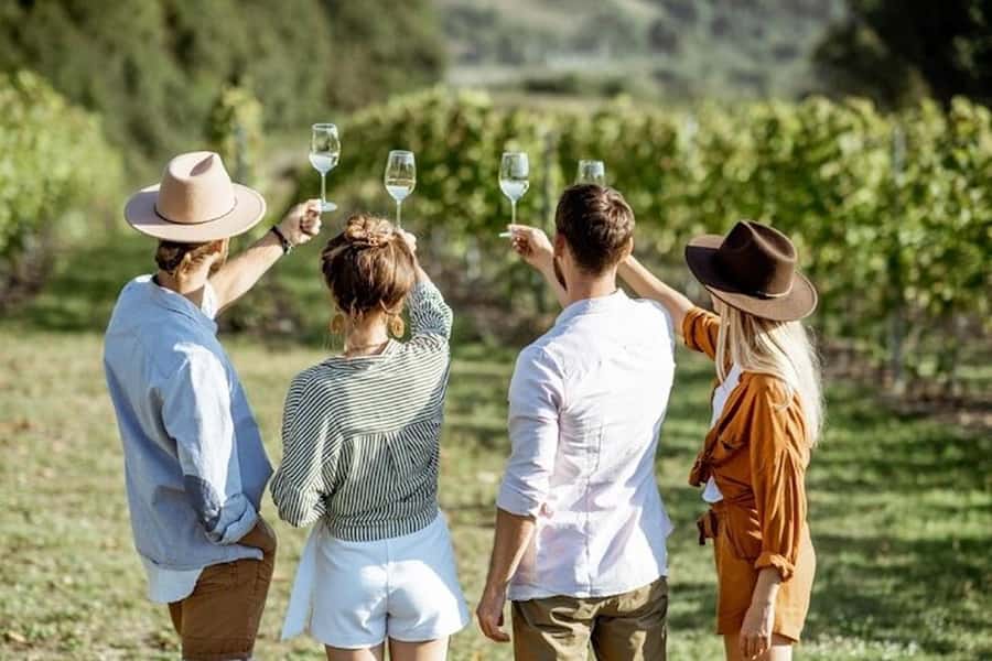 From Cape Town: Full-Day Cape Winelands Taste Tour + Tram - Where the Day Starts in Cape Town, and Why It Feels Organized