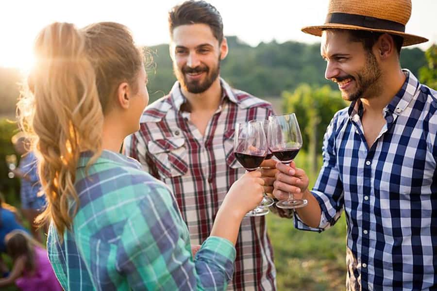From Cape Town: Full-Day Cape Winelands Taste Tour + Tram - Rickety Bridge (or Similar) Wine Tastings, How to Get More From 4 Wines