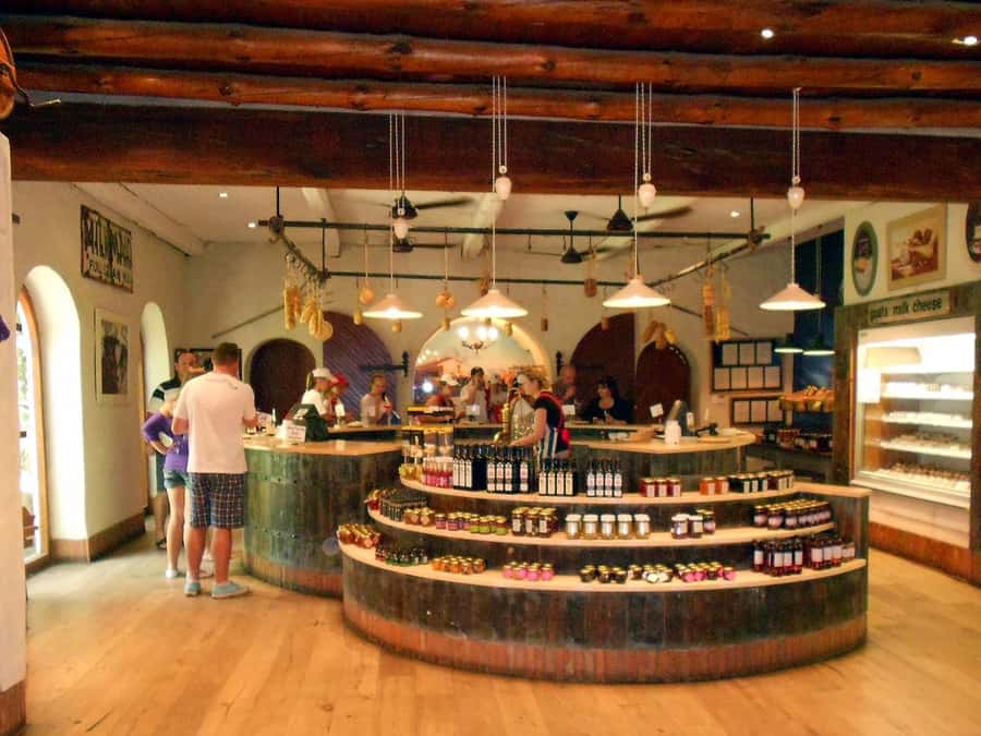 From Cape Town: Full-Day Cape Winelands Taste Tour + Tram - Franschhoek Free Time, Your Chance to Set the Pace