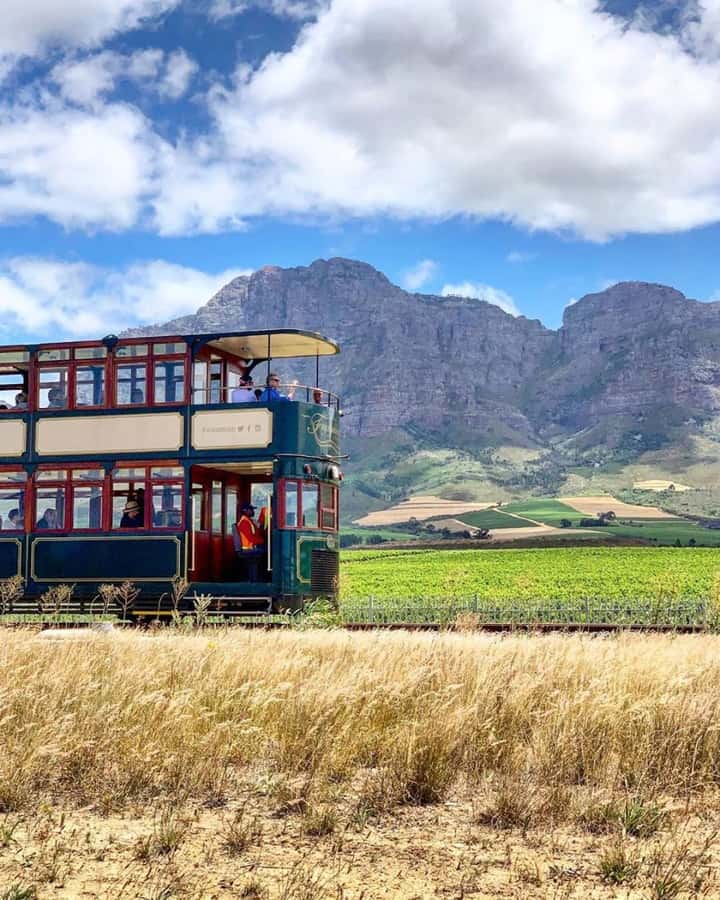 From Cape Town: Full-Day Cape Winelands Taste Tour + Tram - Muratie Winery, the Sweet Port Style Finish Near Stellenbosch