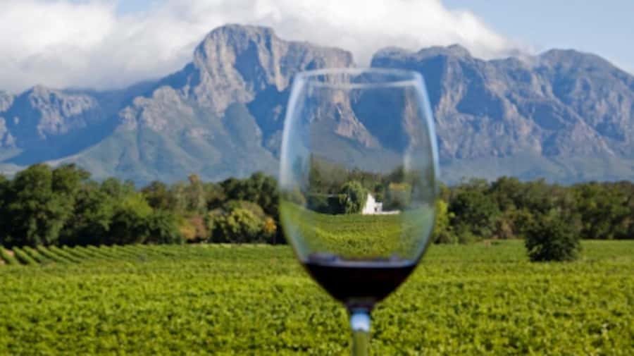 From Cape Town: Full-Day Cape Winelands Taste Tour + Tram - Who Should Book This Cape Winelands and Tram Day