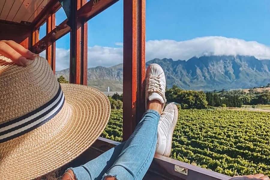 From Cape Town: Full-Day Cape Winelands Taste Tour + Tram - The Wine Tram in Franschhoek, What You Get Besides the Views