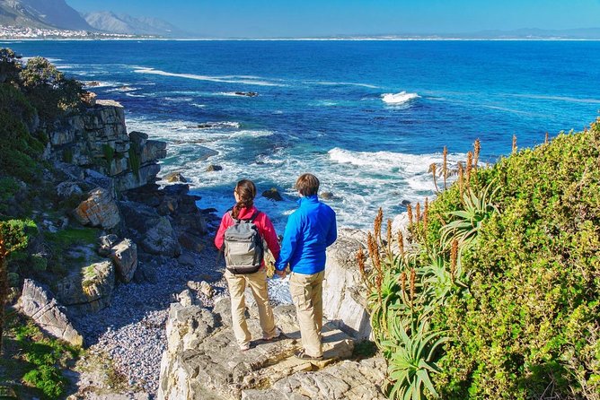 From Cape Town: Full Day Guided Hermanus and Whale Tour - Gordon’s Bay Pitstop: a 1950s pump-diner moment to reset
