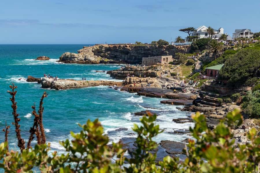 From Cape Town: Full-Day Hermanus Whale Watching Tour - Key things to know before you go
