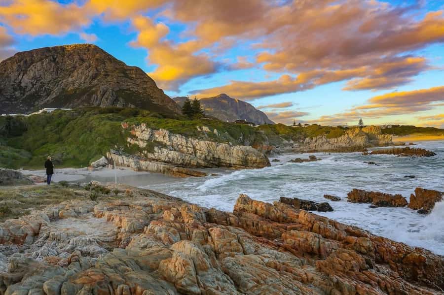 From Cape Town: Full-Day Hermanus Whale Watching Tour - Hermanus whale watching, plus the optional boat thrill