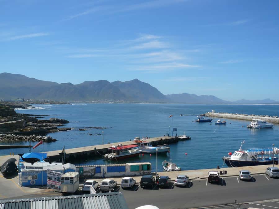 From Cape Town: Full Day Hermanus Whale Watching Tour - The Guide and the Pace: What Makes the Day Feel Smooth