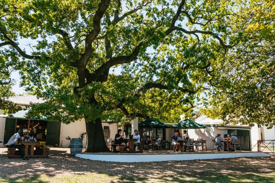 From Cape Town: Full Day Winelands Tour with wine tastings - Why This Cape Town Winelands Tour Works for First-Time Visitors