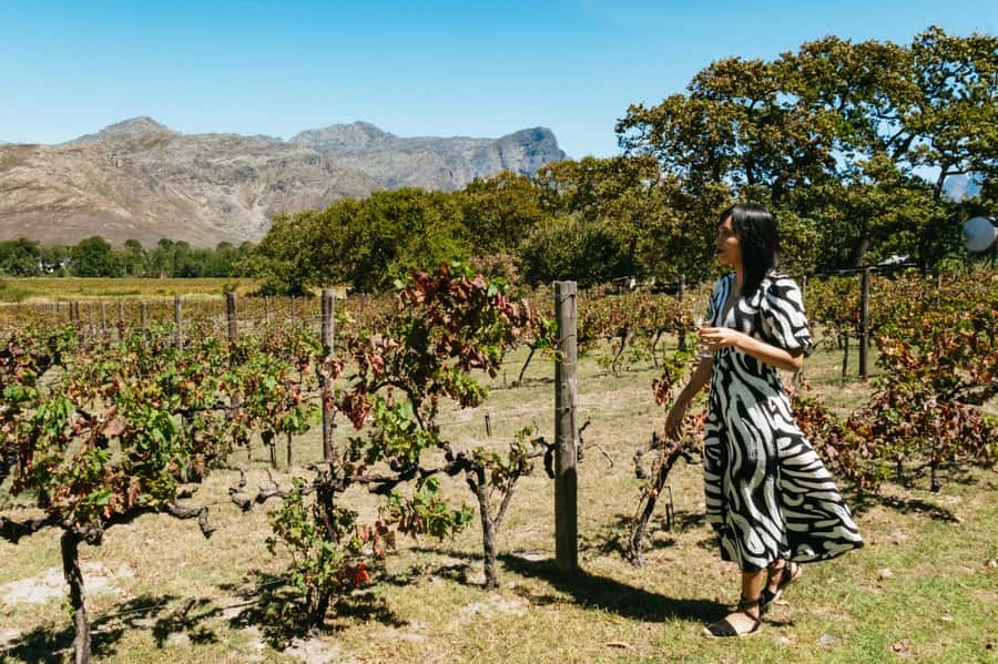 From Cape Town: Full Day Winelands Tour with wine tastings - Paarl: The Town Above the Valley and a Quick Photo Moment With Meaning