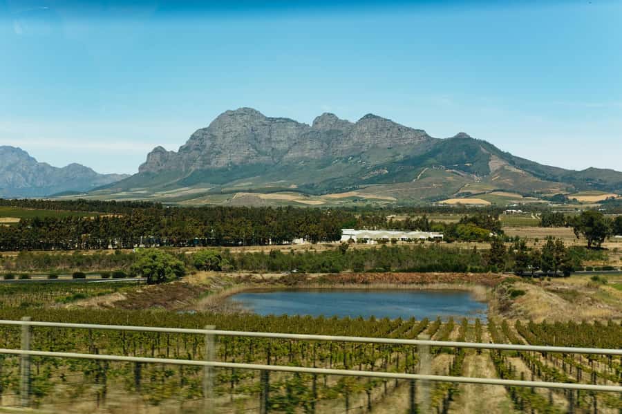 From Cape Town: Full Day Winelands Tour with wine tastings - What to Bring so You Enjoy Every Stop
