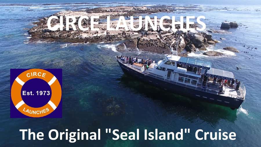 From Cape Town: Glass-Bottom Boat Seal Watching Tour - Sentinel Mountain and Chapmans Peak Views From the Boat