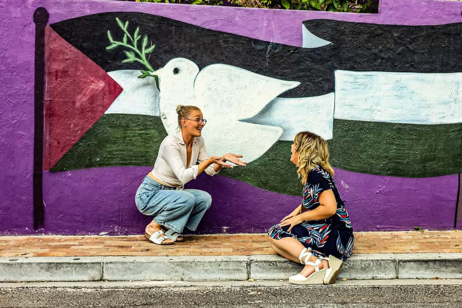 From Cape Town: Half-Day Boulders Beach and Penguins Tour - Boulders Beach: the African penguins, your best close-up on the Cape