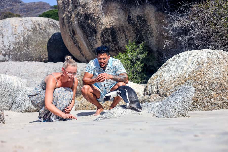 From Cape Town: Half-Day Boulders Beach and Penguins Tour - Camps Bay as your quick mood setter