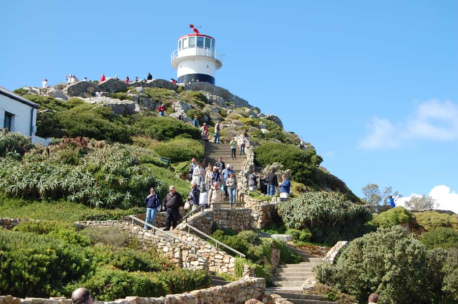 From Cape Town: Half Day Cape Point & Penguins Tour - Key things I’d note before you book