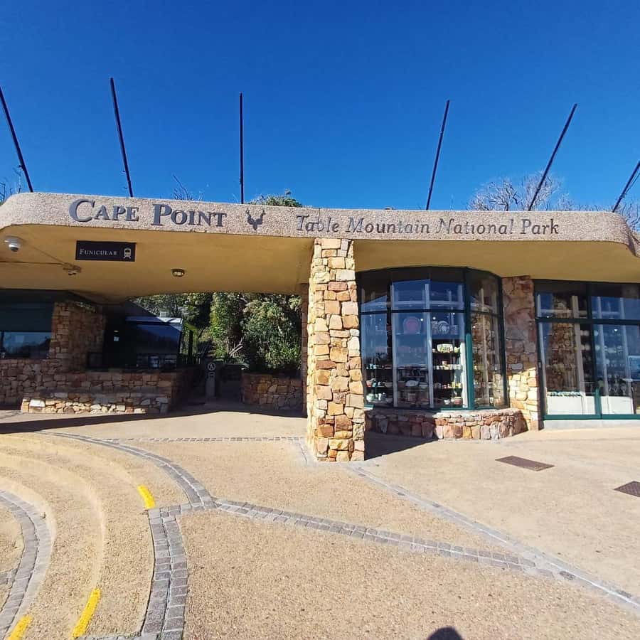 From Cape Town: Half Day Cape Point & Penguins Tour - Chapman’s Peak Drive: the view stop that sets the tone