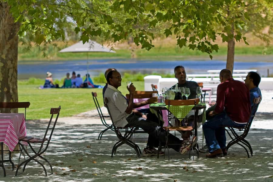 From Cape Town: Half Day Winelands Tour with winetasting - Key highlights worth your attention