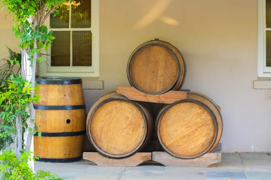 From Cape Town: Half Day Winelands Tour with winetasting - From Cape Town to the Cape Winelands: the half-day rhythm