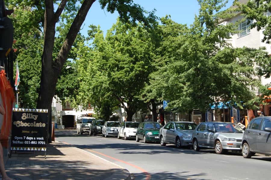 From Cape Town: Half Day Winelands Tour with winetasting - Who this tour is ideal for