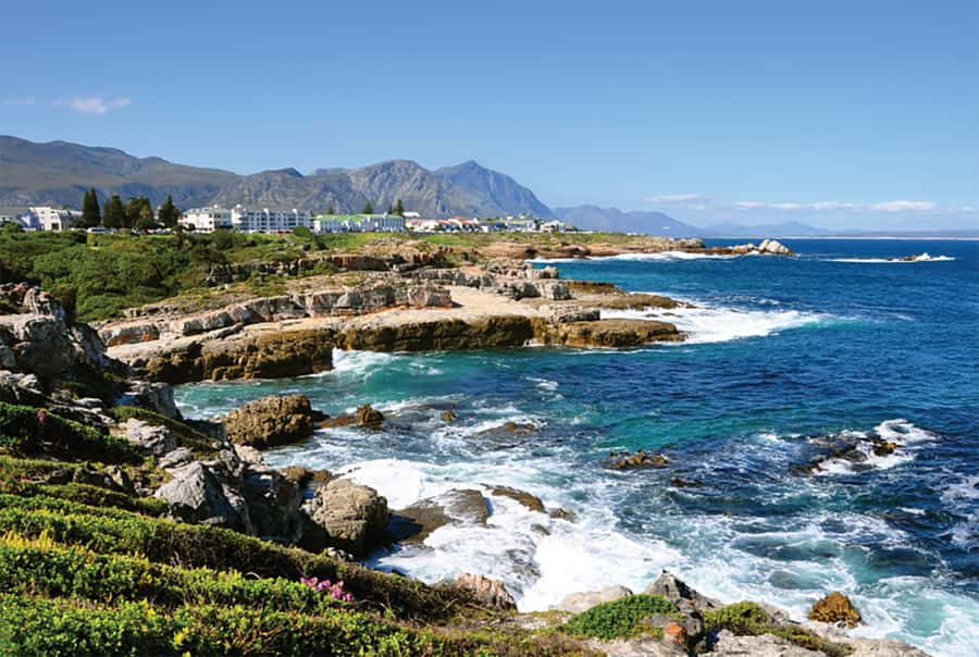 From Cape Town: Hermanus Whale Watching Full Day Tour - Getting to Hermanus from Cape Town: pickup times, coach ride, and expectations