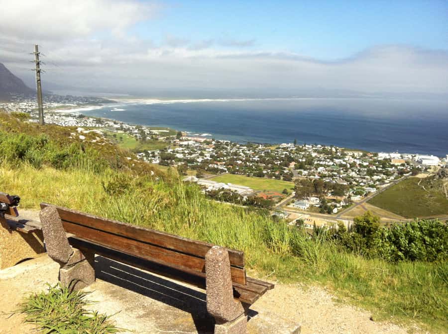 From Cape Town: Hermanus Whale Watching Full Day Tour - Wine tasting in Hermanus: Hemel-en-Aarde without the full winelands detour