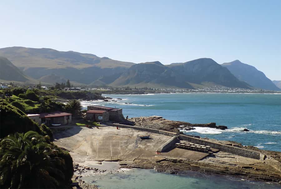 From Cape Town: Hermanus Whale Watching Full Day Tour - If whales are quiet, you still have a good day plan