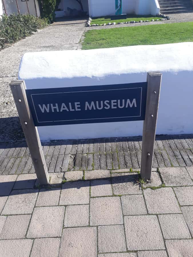 From Cape Town: Hermanus Whale Watching Tour with Transfer - Key highlights to look forward to