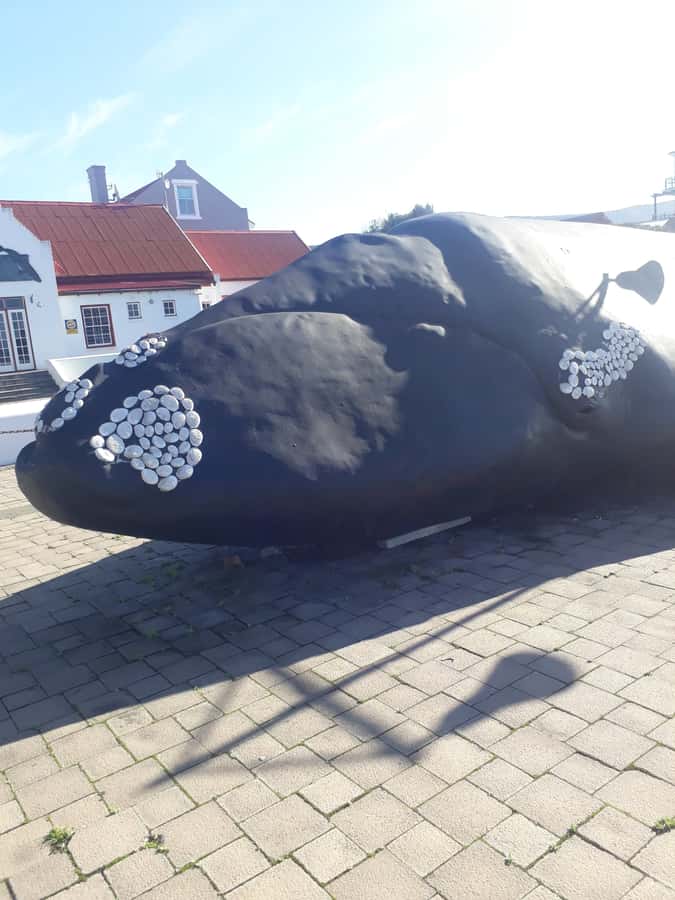 From Cape Town: Hermanus Whale Watching Tour with Transfer - Airport sightings, film studio trivia, and the Stellenbosch wine region