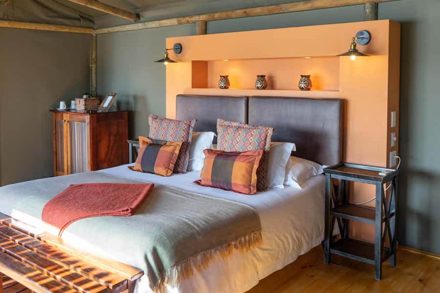 From Cape Town: South African Wildlife and Safari 2-Day Tour - What to pack and how to dress for safari comfort