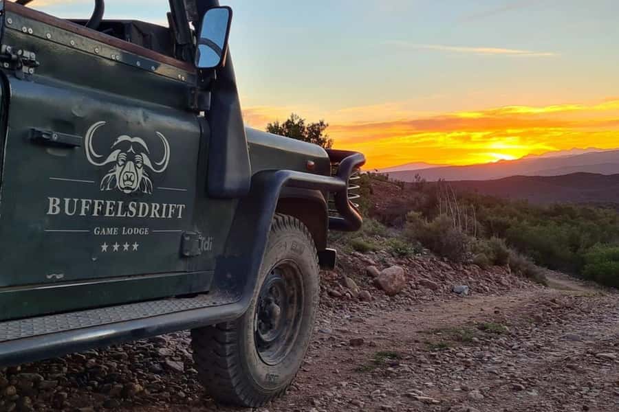 From Cape Town: South African Wildlife and Safari 2-Day Tour - How this 2-day safari from Cape Town to Oudtshoorn really works