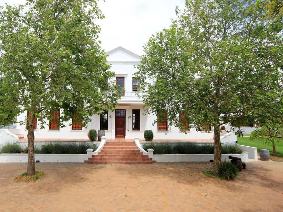 From Cape Town: Stellenbosch Four Estate Full-Day Wine Tour - Four estates in one day, and why it works