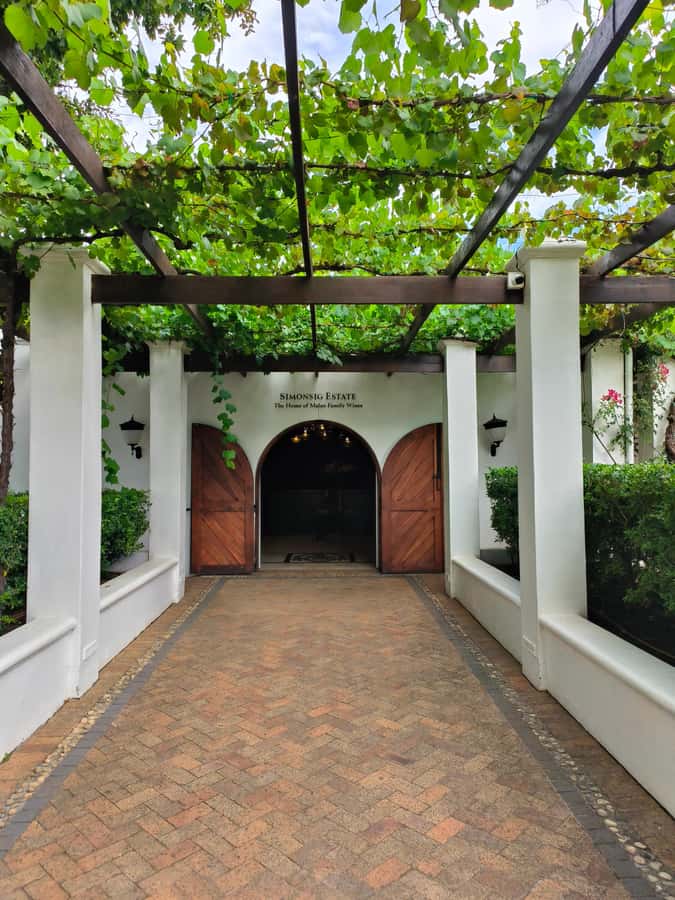 From Cape Town: Stellenbosch Four Estate Full-Day Wine Tour - How the cellar and vineyard tour changes your tasting
