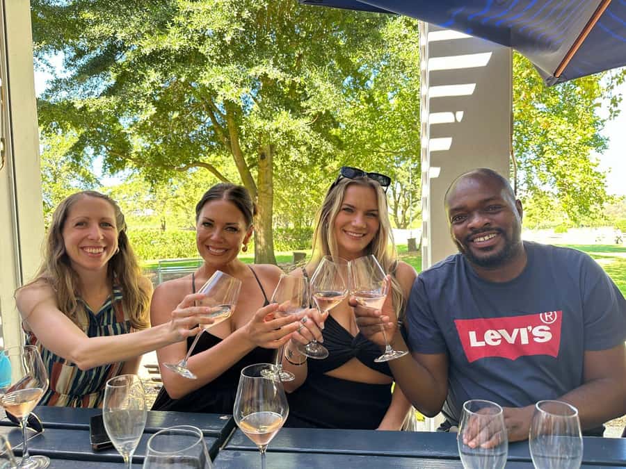From Cape Town: Stellenbosch Four Estate Full-Day Wine Tour - Who this Stellenbosch tour suits best (and who should skip it)