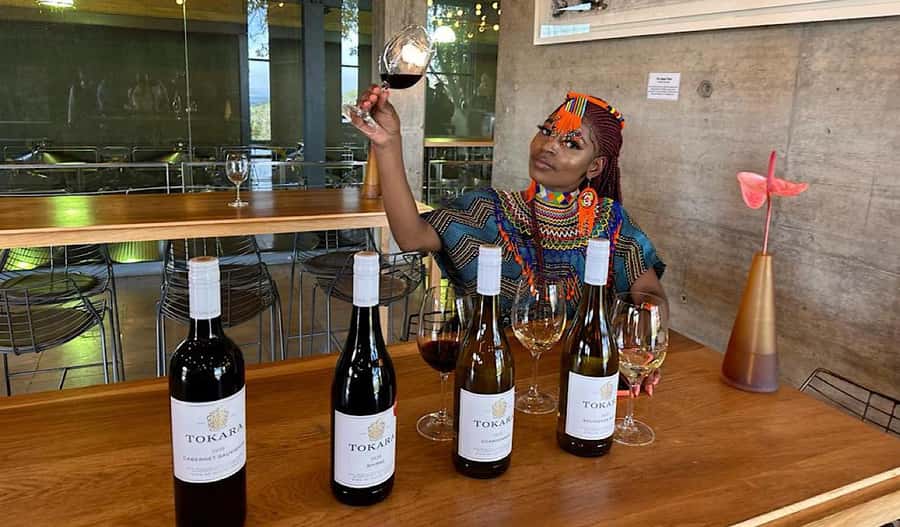 From Cape Town: Stellenbosch & Franschhoek Wine Tasting Tour - Getting from Cape Town without losing your day