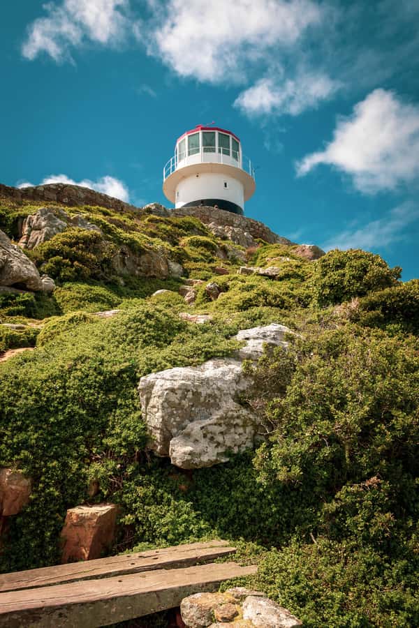 From Cape Town: Table Mountain and Cape of Good Hope Tour - Noordhoek coffee stop, a small break that changes the mood