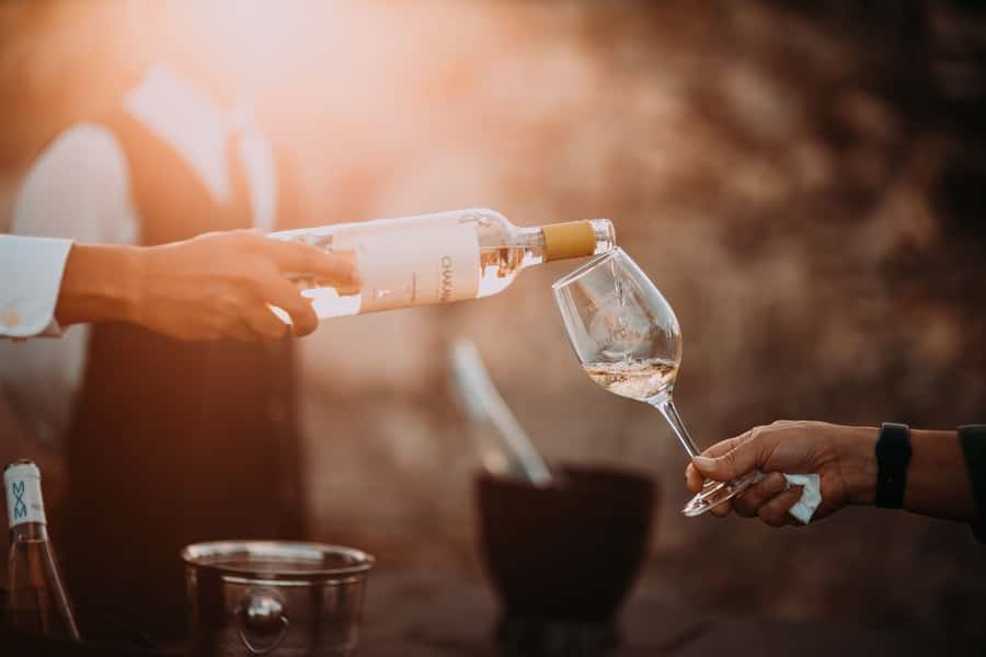 From Cape Town: Winelands Full Day Tour and Wine Tasting - Cape Winelands scenery, the quick culture shift from Cape Town