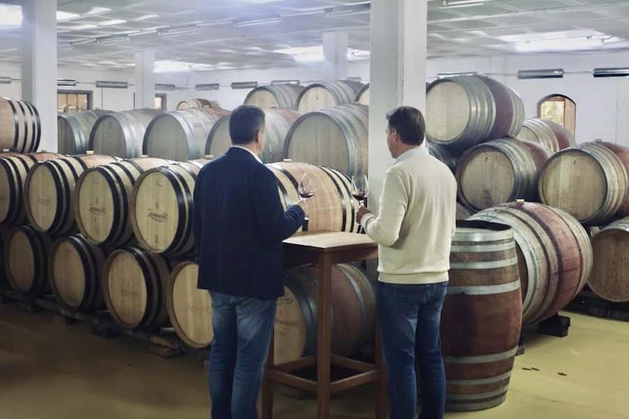 From Cape Town: Winelands Full Day Tour and Wine Tasting - What lunch not being included really means for your day