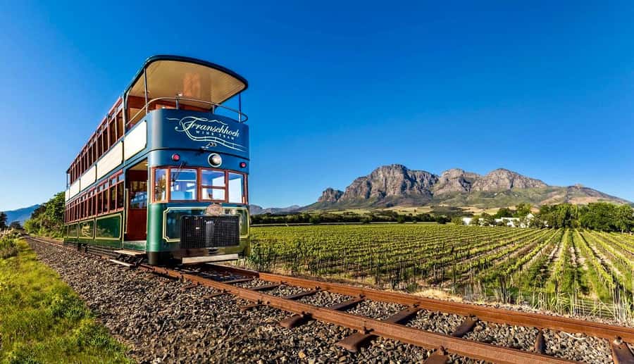 From Cape Town: Winelands Full Day Tour and Wine Tasting - Getting from Cape Town to the Stellenbosch Winelands (and why timing matters)