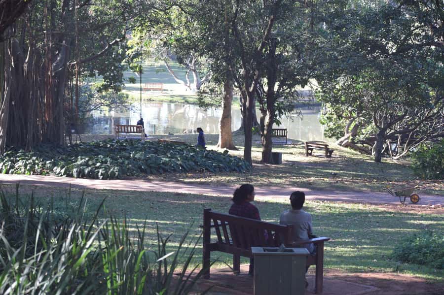 From Durban: Half Day Durban City Tour - Warwick Triangle African and Indian Markets: where the city shops and commuters pass