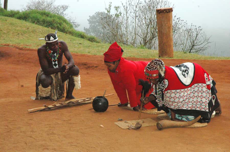 From Durban: Safari & PheZulu Village Day Tour - Price and value from Durban: what $242 buys you