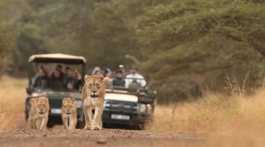 From Durban: Wildlife Lovers Big 5 Safari at 2 Game Reserves - Hilltop Camp Lunch Stop, What Is Included and What Isn’t
