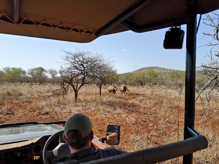 From Durban: Wildlife Lovers Big 5 Safari at 2 Game Reserves - Timing and Logistics From Durban North to Tongaat