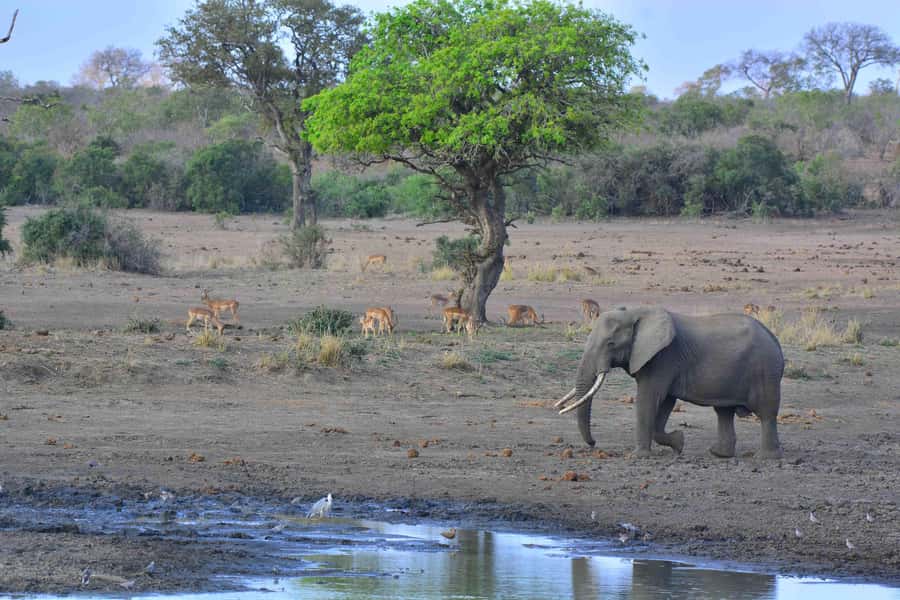 From Hazy View: Full Day Kruger National Park Safari - What to wear and bring for a comfortable 9-hour day
