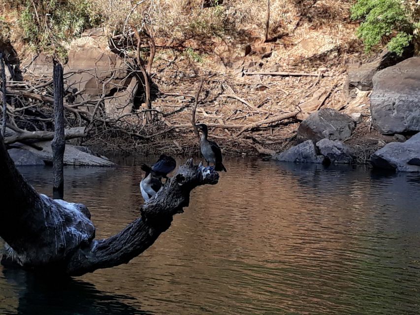 From Hazyview: Blyde River Canyon Highlight & Boat Cruise - God’s Window: where you can read the canyon before you ride it