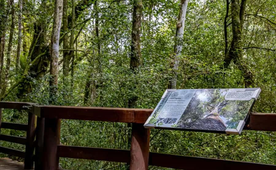 From Hazyview: Full-Day Guided Panorama Tour - Panorama Route Highlights Starting in Hazyview