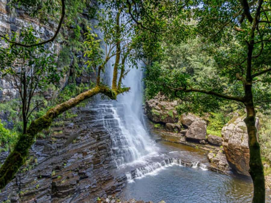 From Hazyview: Full-Day Guided Panorama Tour - Berlin Falls and the Graskop Break for Food and Optional Activities