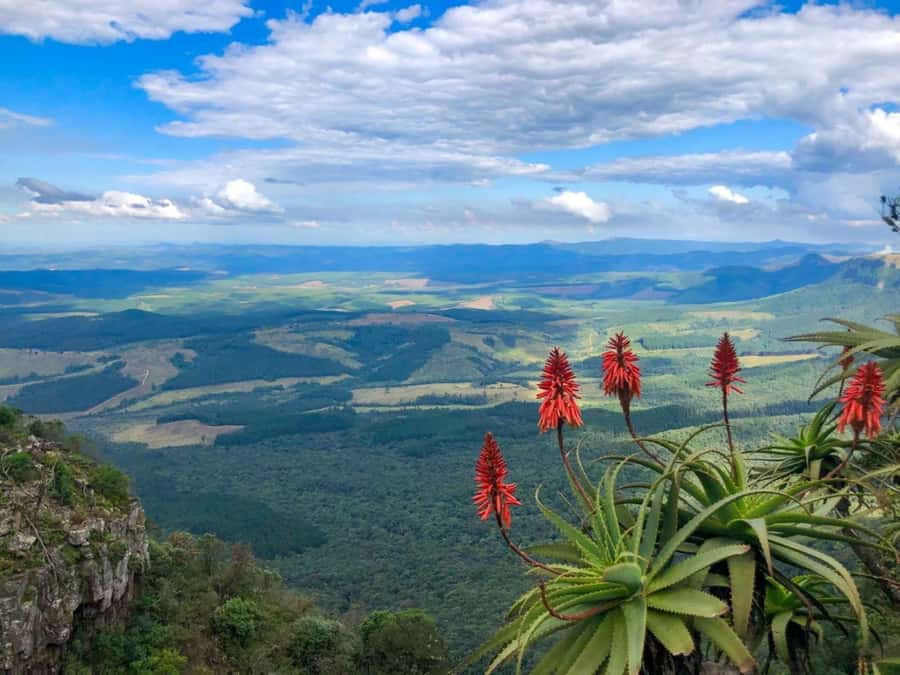 From Hazyview: Full-Day Guided Panorama Tour - Timing, Group Size, and the Role of the Guide